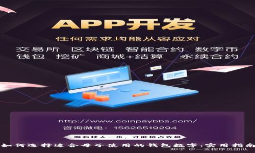 如何选择适合母子使用的钱包数字：实用指南