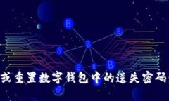 如何找回或重置数字钱包中的遗失密码：全面指