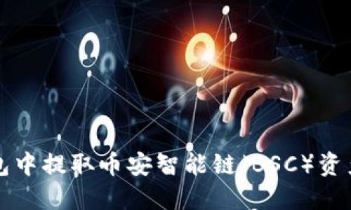 如何在TP钱包中提取币安智能链（BSC）资产的详细指南
