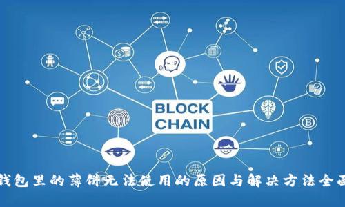 : TP钱包里的薄饼无法使用的原因与解决方法全面分析