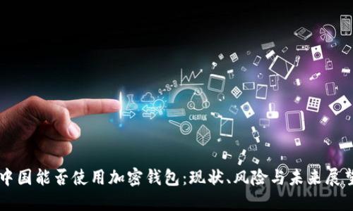 中国能否使用加密钱包：现状、风险与未来展望