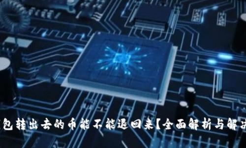 :TP钱包转出去的币能不能退回来？全面解析与解决方案