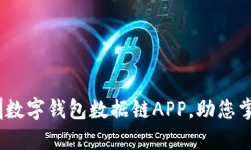 2025必看！深圳数字钱包数据链APP，助您掌控财政的未来！