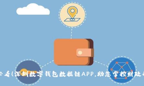 2025必看！深圳数字钱包数据链APP，助您掌控财政的未来！