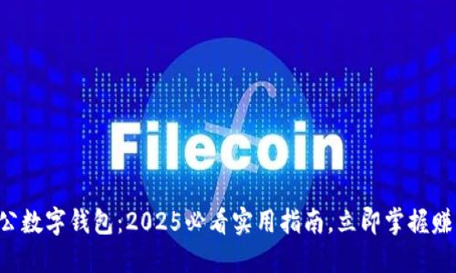 中行对公数字钱包：2025必看实用指南，立即掌握赚钱秘籍！
