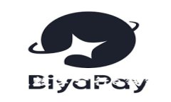 数字分行e钱包是一种基于数字技术的电子支付和