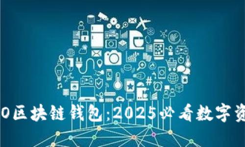 立即了解SBO区块链钱包：2025必看数字资产管理工具