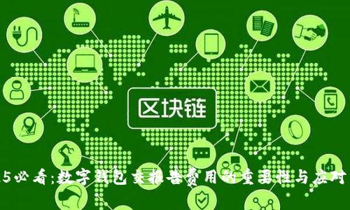 2025必看：数字钱包交报告费用的重要性与应对策略