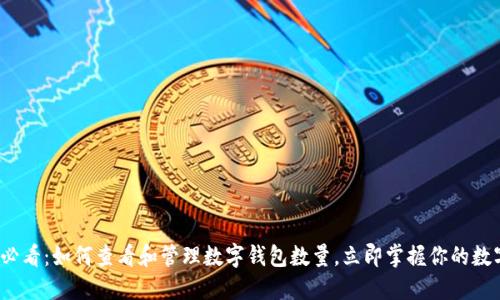 2025必看：如何查看和管理数字钱包数量，立即掌握你的数字资产