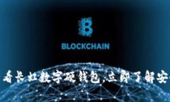 解锁未来金融：2025必看长虹数字硬钱包，立即了