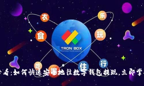 2025必看：如何快速安全地往数字钱包提现，立即掌握技巧！