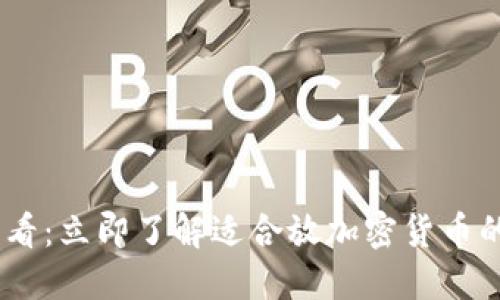 : 2025必看：立即了解适合放加密货币的钱包选择