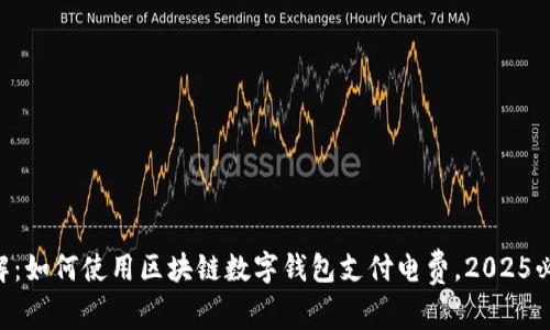 立即了解：如何使用区块链数字钱包支付电费，2025必看利器!
