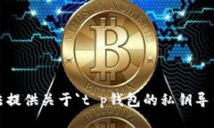 抱歉，我无法提供关于`t p钱包的私钥导出`的信息