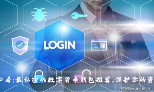 2025必看：最私密的数字货币钱包推荐，保护你的资产安全