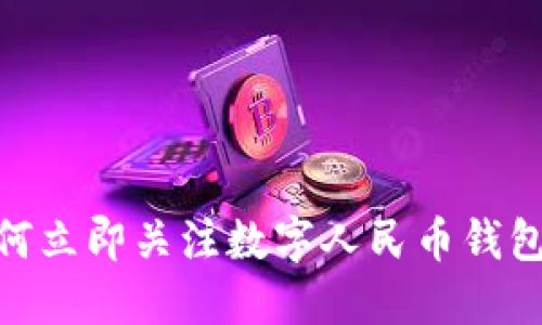 2025必看：如何立即关注数字人民币钱包的使用和发展