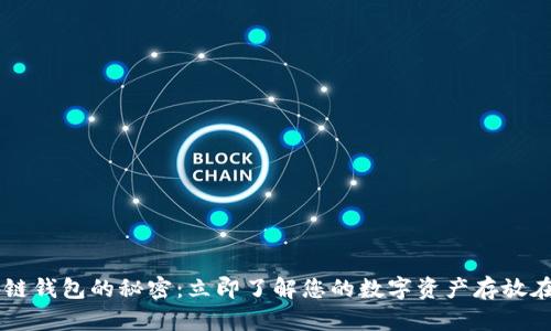 区块链钱包的秘密：立即了解您的数字资产存放在哪里