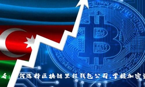 2025必看：如何选择区块链里程钱包公司，掌握加密资产未来