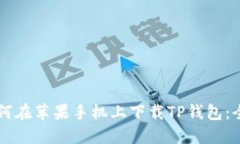 ### 如何在苹果手机上下载TP钱包：全方位指南