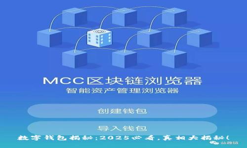 数字钱包揭秘：2025必看，真相大揭秘！