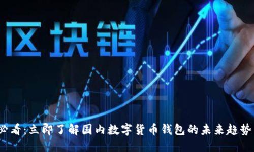 2025必看：立即了解国内数字货币钱包的未来趋势与选择