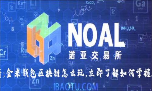 2025必看：金米钱包区块链怎么玩，立即了解如何掌握数字资产！