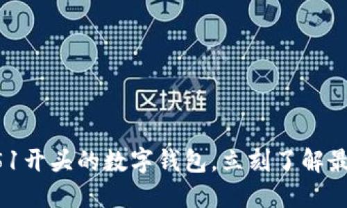 2025必看：0051开头的数字钱包，立刻了解最新趋势与优势！