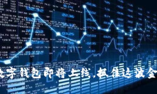2025必看：数字钱包即将上线，抓住这波金融科技浪潮！