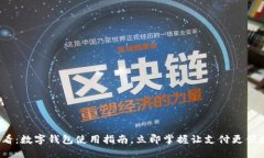 2025必看：数字钱包使用指南，立即掌握让支付更
