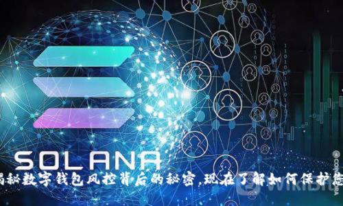 2025必看：揭秘数字钱包风控背后的秘密，现在了解如何保护您的资金安全！