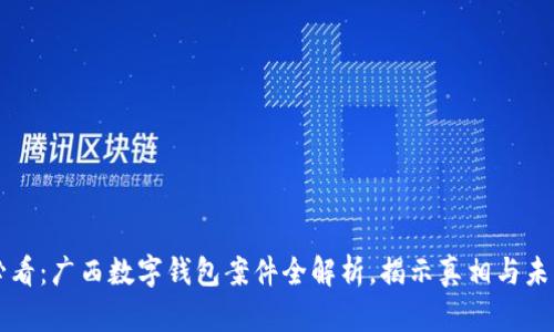 《2025必看：广西数字钱包案件全解析，揭示真相与未来影响！》