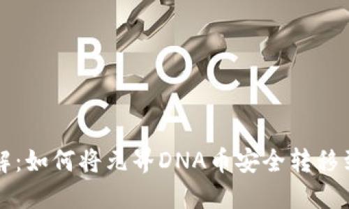 立即了解：如何将元界DNA币安全转移到TP钱包