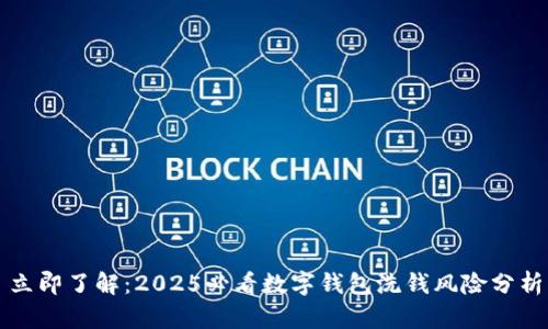 立即了解：2025必看数字钱包洗钱风险分析