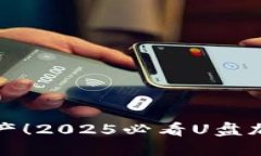 和关键词立即保护你的资产！2025必看U盘加密钱包