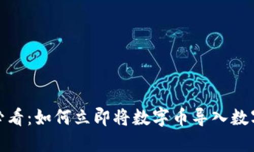 2025必看：如何立即将数字币导入数字钱包？