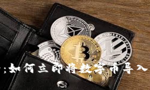 2025必看：如何立即将数字币导入数字钱包？