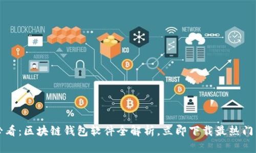 2025必看：区块链钱包软件全解析，立即下载最热门的选项!