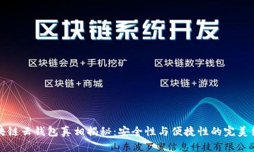 区块链云钱包真相揭秘：安全性与便捷性的完美结合