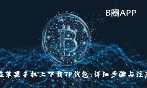 如何在苹果手机上下载TP钱包：详细步骤与注意事项