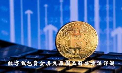 数字钱包资金丢失原因及解决方法详解