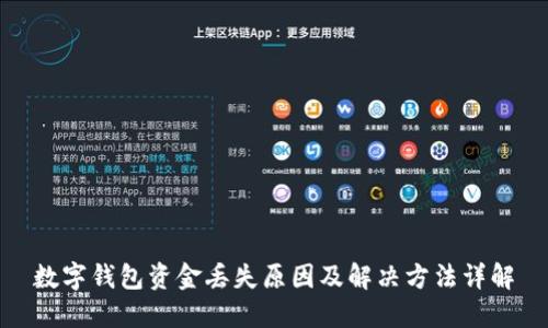 数字钱包资金丢失原因及解决方法详解