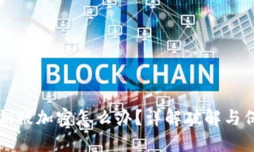 钱包私钥被加密怎么办？详解破解与保护技巧
