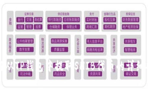 如何从TP钱包中提取SHIB代币的详细指南