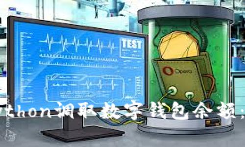 如何用Python调取数字钱包余额：详细指南