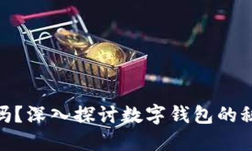 数字钱包安全吗？深入探讨数字钱包的秘密与防护措施