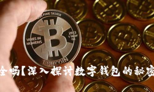 数字钱包安全吗？深入探讨数字钱包的秘密与防护措施