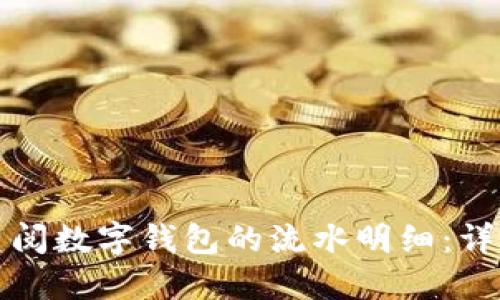 如何查阅数字钱包的流水明细：详尽指南
