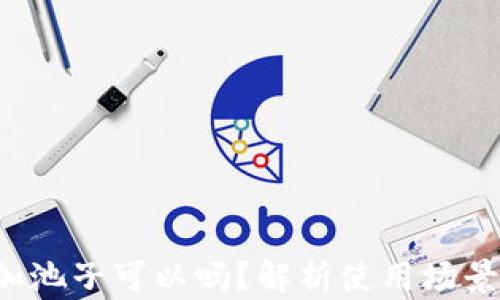 
t p钱包不加池子可以吗？解析使用场景与最佳实践