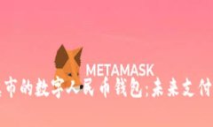 探索兰溪市的数字人民币钱包：未来支付的新方