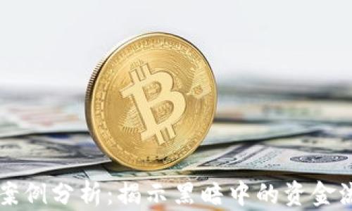 
非法数字钱包案例分析：揭示黑暗中的资金流转与监管漏洞